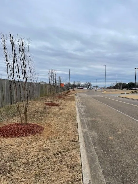 Custom lawn mowing service in Texarkana, TX by Power Clean of Texarkana