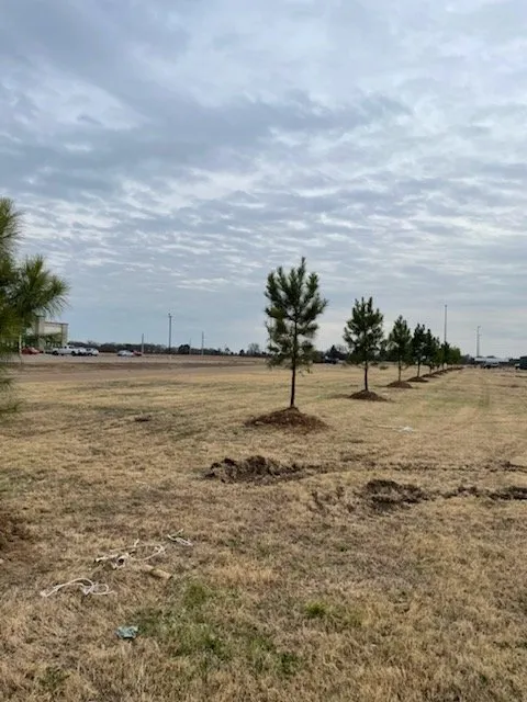 Local yard maintenance in Texarkana, TX by Power Clean of Texarkana