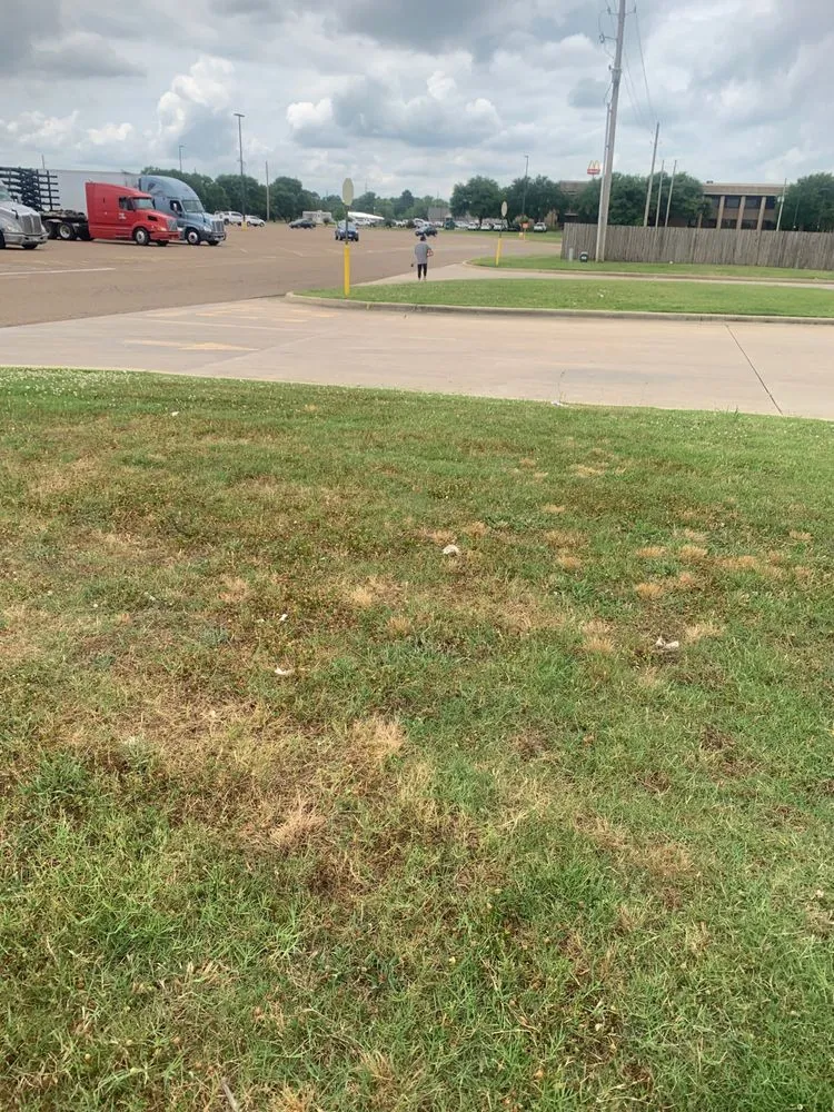 Reliable yard maintenance experts serving Texarkana, TX - Power Clean of Texarkana