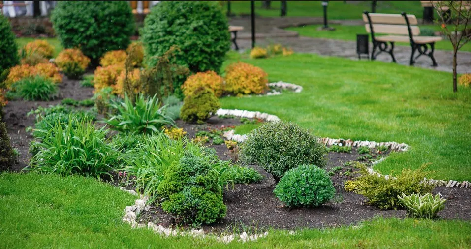 Custom residential landscaping experts serving Texarkana, TX - Power Clean of Texarkana