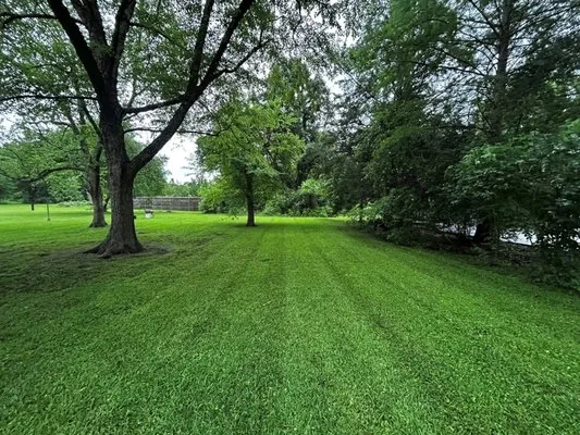 Power Cuts Lawn Care