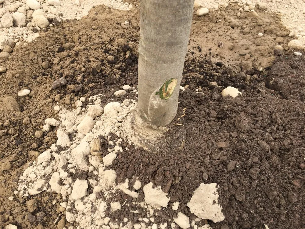 Trusted yard maintenance for beautiful yards in Nampa, ID by Power Enterprises