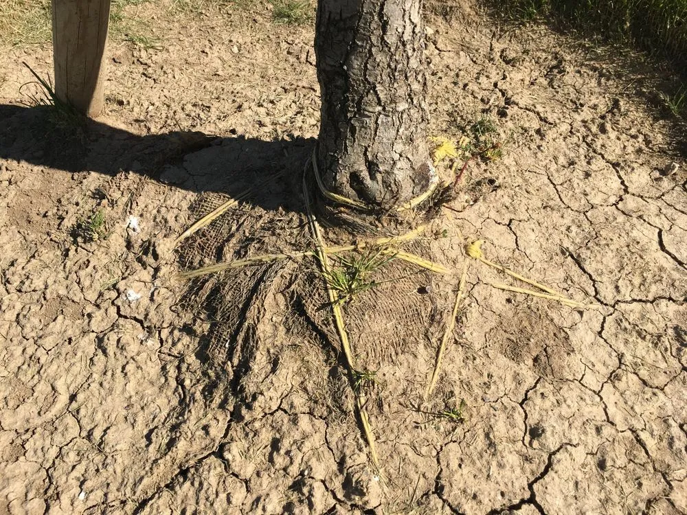 Affordable outdoor landscaping for homes across Nampa, ID - Power Enterprises