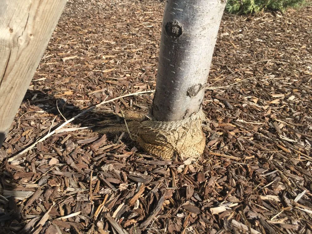 Custom landscape design experts serving Nampa, ID - Power Enterprises