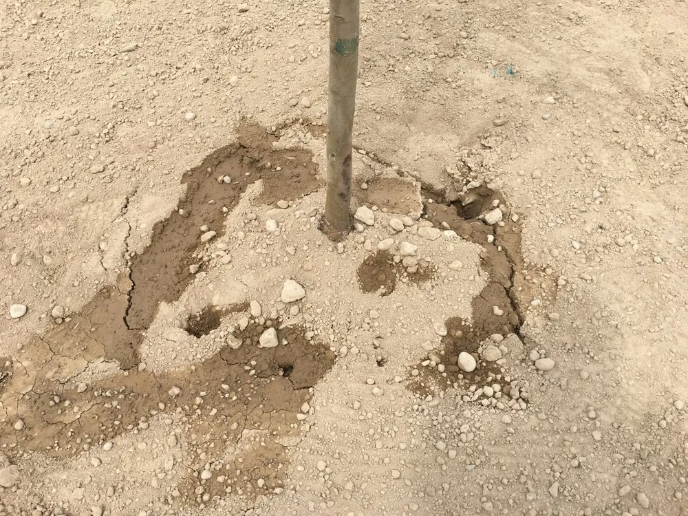 Local landscaping services for residential properties in Nampa, ID by Power Enterprises