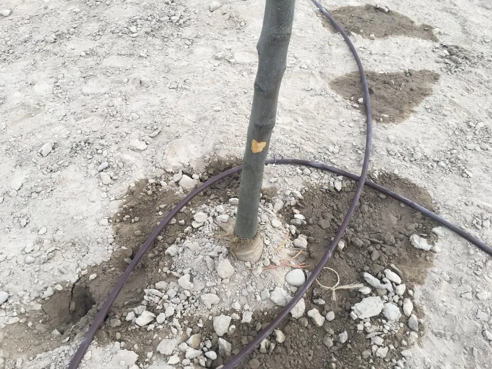 Local residential landscaping experts serving Nampa, ID - Power Enterprises