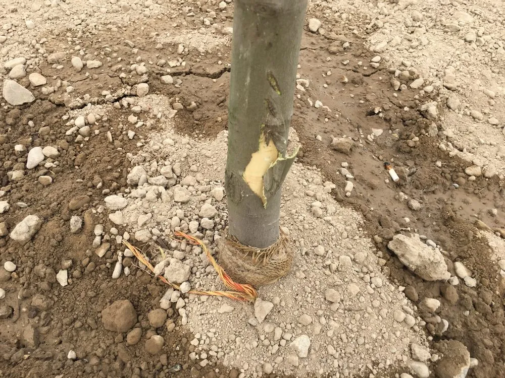 Custom landscaping services experts serving Nampa, ID - Power Enterprises