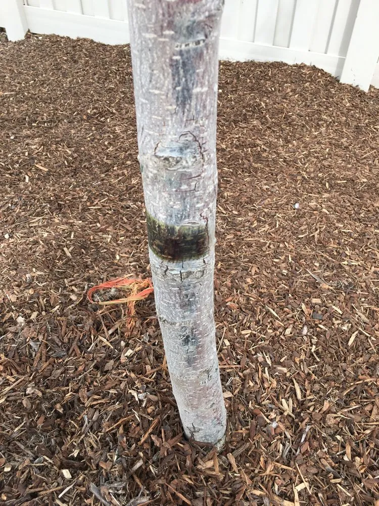 Professional garden landscaping for year-round maintenance across Nampa, ID - Power Enterprises