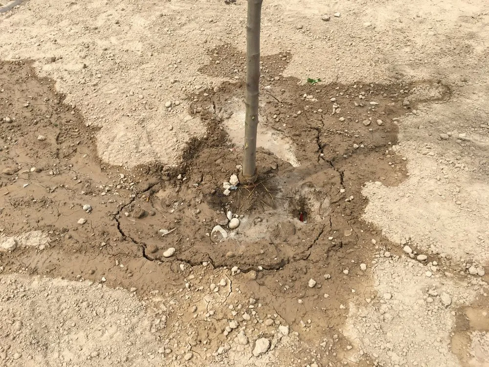 Reliable landscape installation in Nampa, ID by Power Enterprises