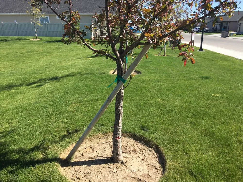 Professional landscape design in Nampa, ID by Power Enterprises