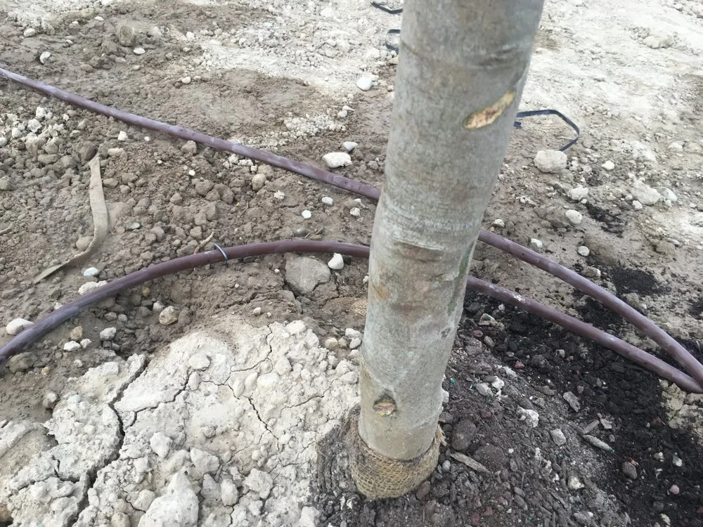 Expert yard maintenance in Nampa, ID - Power Enterprises