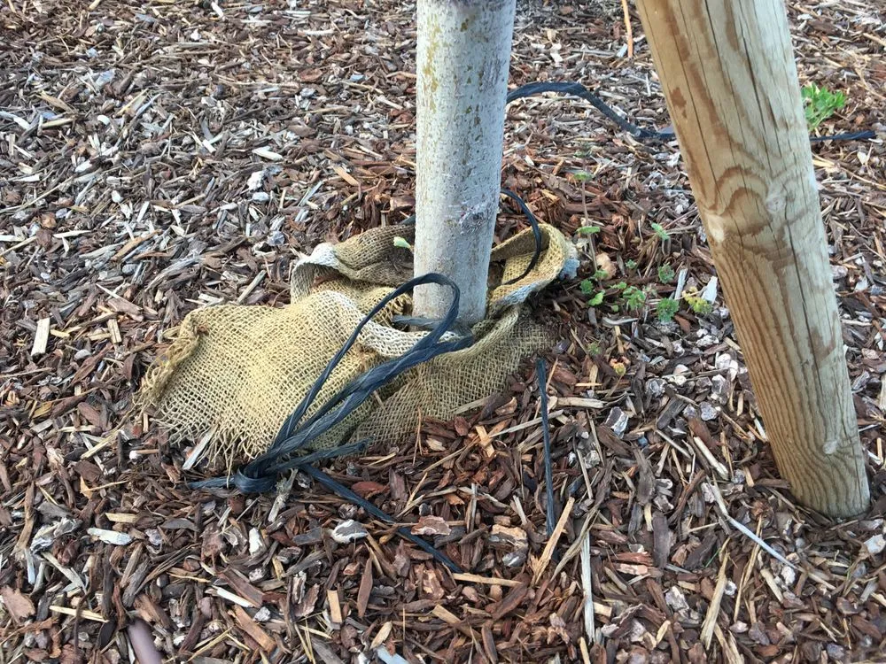 Custom landscaping services experts serving Nampa, ID - Power Enterprises