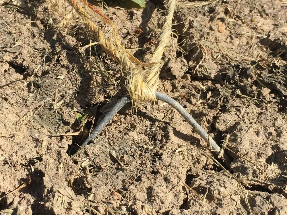 Professional yard cleanup service for homes in Nampa, ID by Power Enterprises