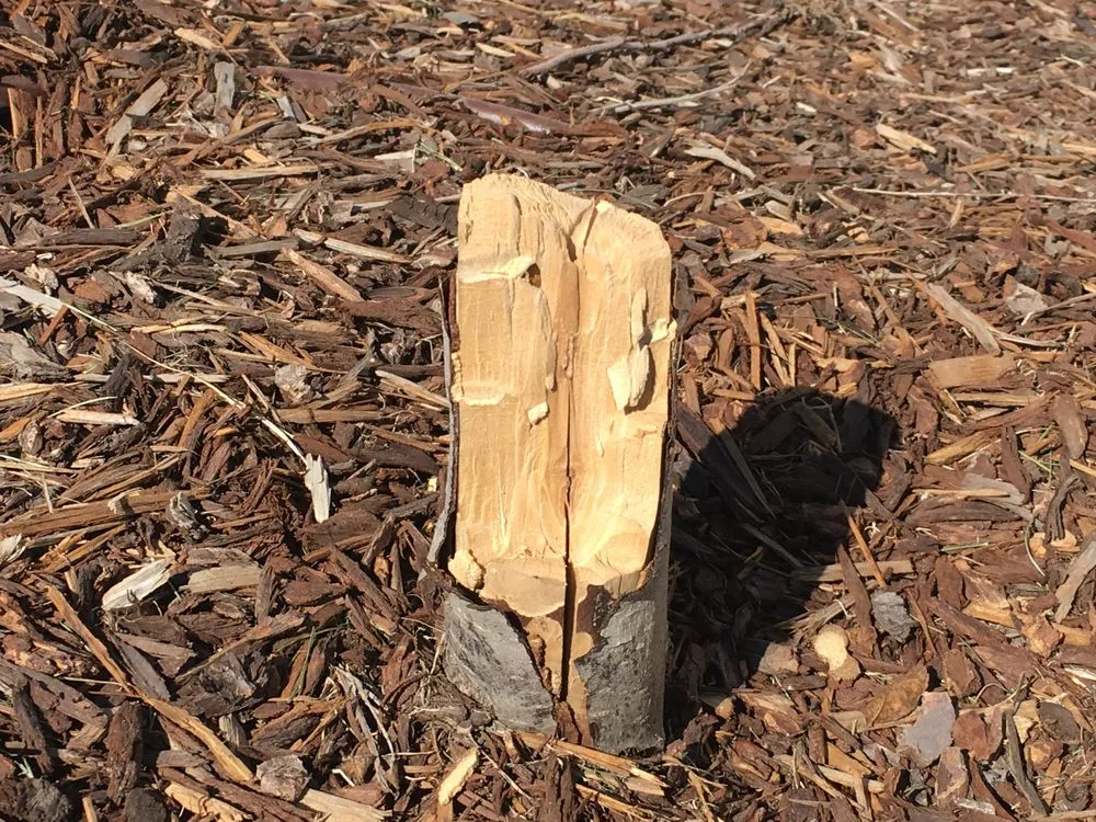 Expert yard maintenance experts serving Nampa, ID - Power Enterprises