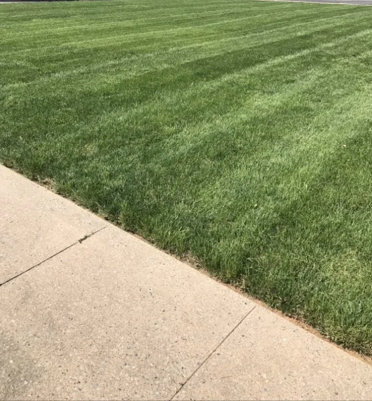 Custom yard cleanup service in Reidsville, NC by Power House Lawn Care