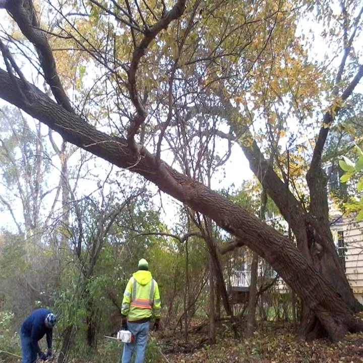 Reliable yard maintenance in Harvard, IL - Power Landscaping