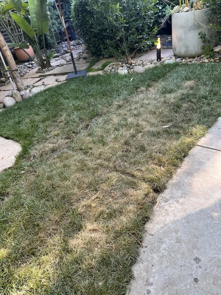 Top-rated lawn mowing service for homes across Citrus Heights, CA - Power Lawn Maintenance