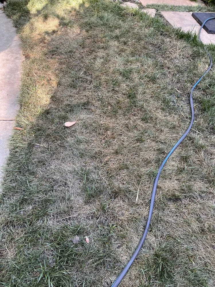 Expert yard maintenance experts serving Citrus Heights, CA - Power Lawn Maintenance