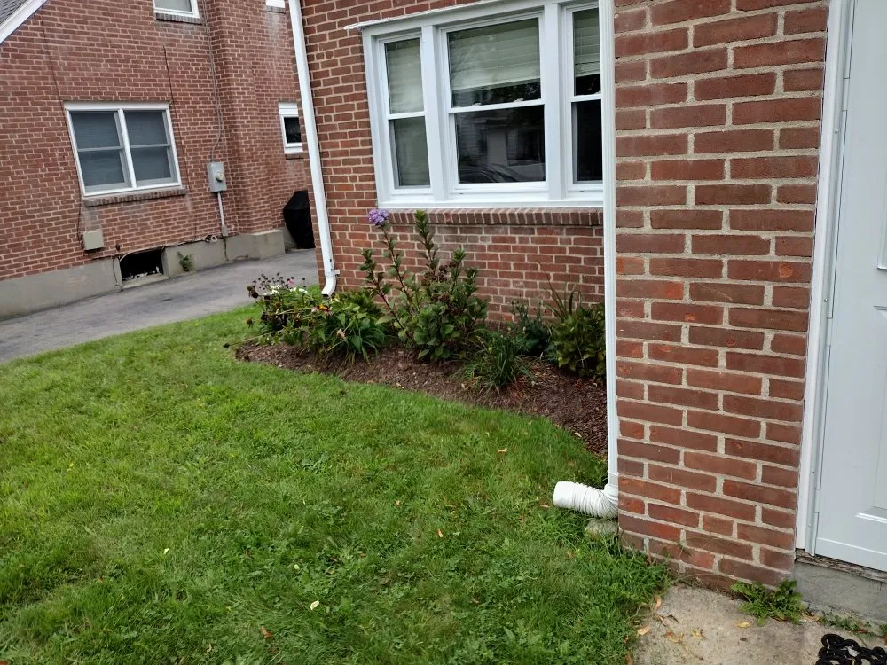 Top-rated yard cleanup service in New London, CT by Power Pros