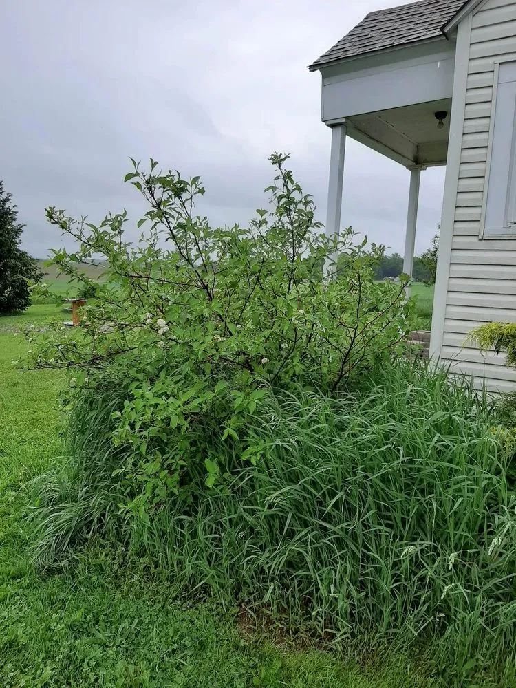 Trusted landscaping services in Lexington, OH by Power Scape Property Maintenance