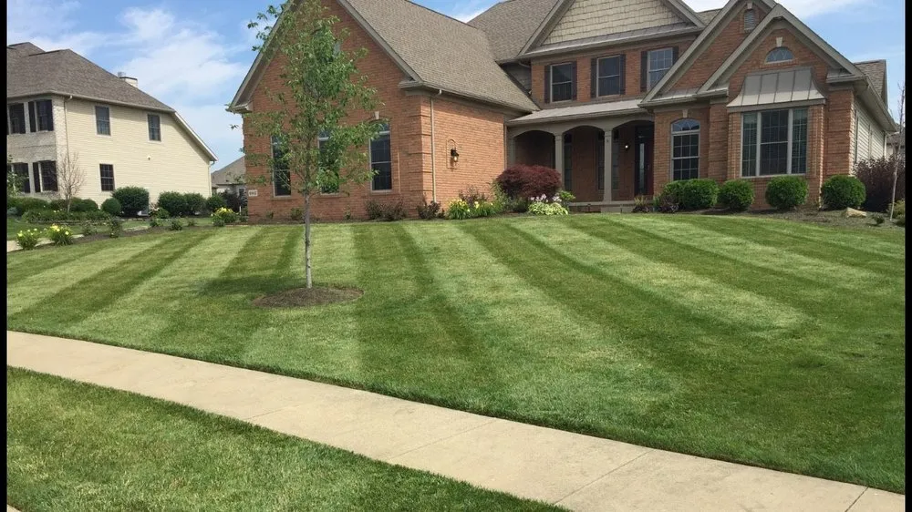 Professional yard maintenance for year-round maintenance across Lexington, OH - Power Scape Property Maintenance