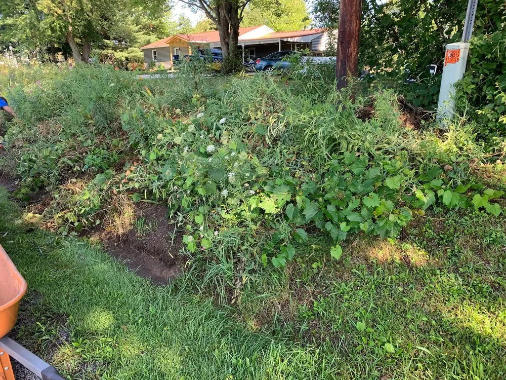 Affordable yard maintenance in Lexington, OH by Power Scape Property Maintenance