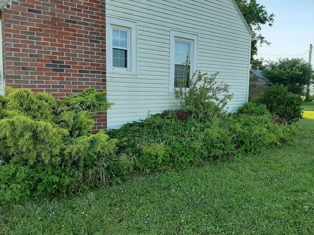 Expert yard maintenance for beautiful yards across Lexington, OH - Power Scape Property Maintenance