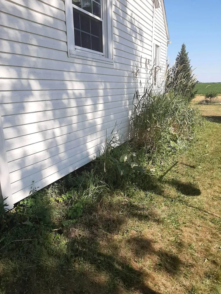 Local residential landscaping experts serving Lexington, OH - Power Scape Property Maintenance