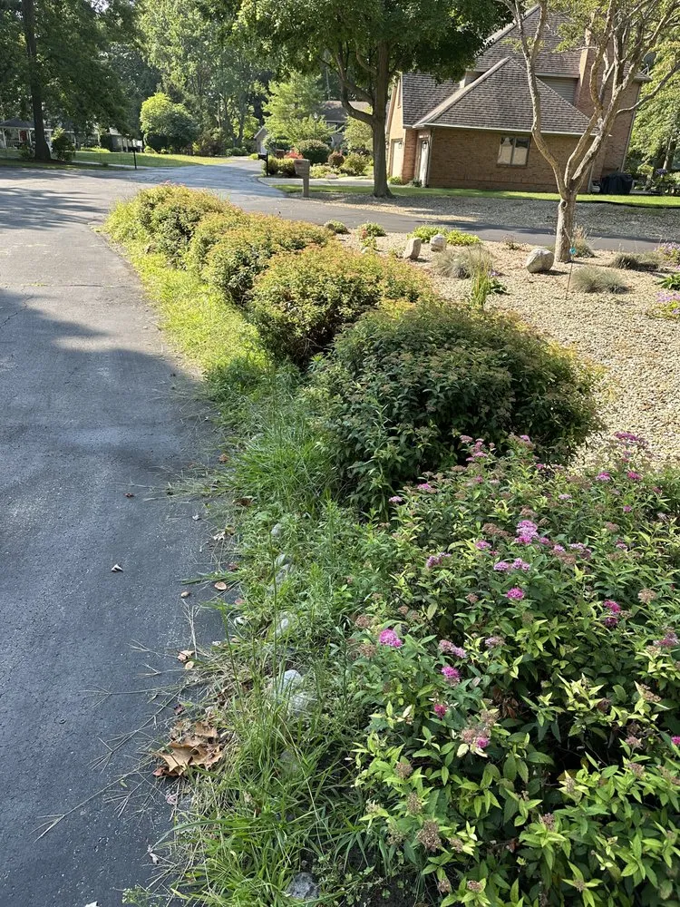 Custom yard maintenance in Berrien Springs, MI - Power Services