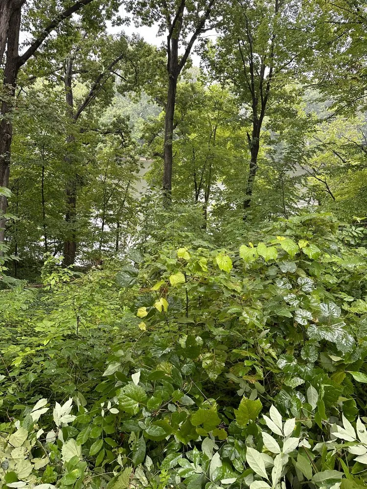 Custom lawn mowing service in Berrien Springs, MI by Power Services