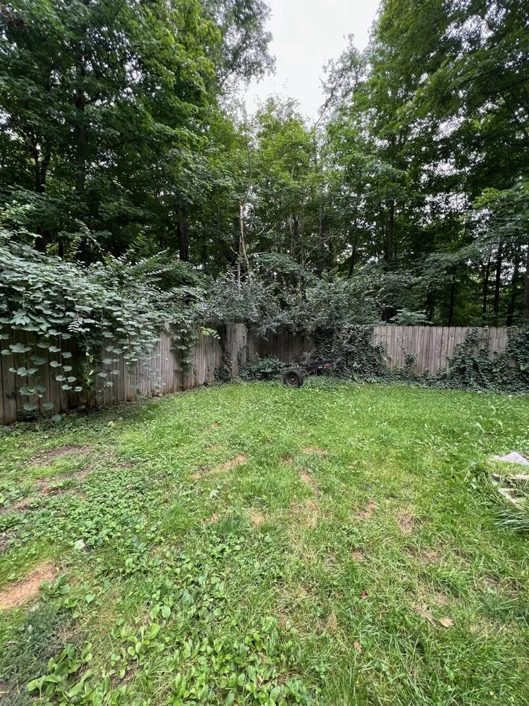 Custom lawn care service for beautiful yards across Berrien Springs, MI - Power Services