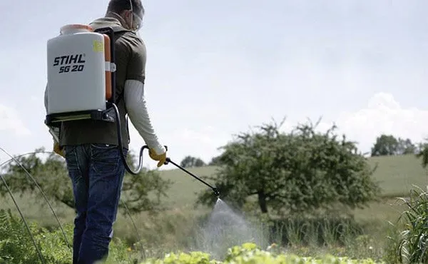 Trusted lawn mowing service in Ocala, FL - Power Team Maintenance