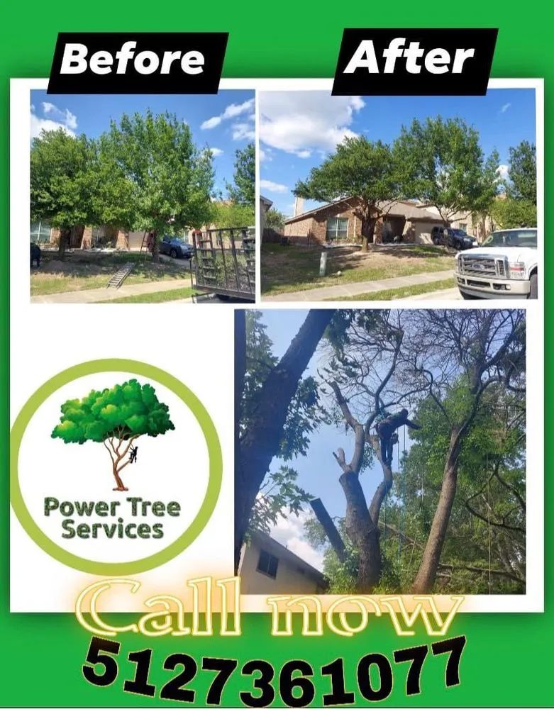 Trusted landscaping services for outdoor upgrades in Austin, TX by Power tree services