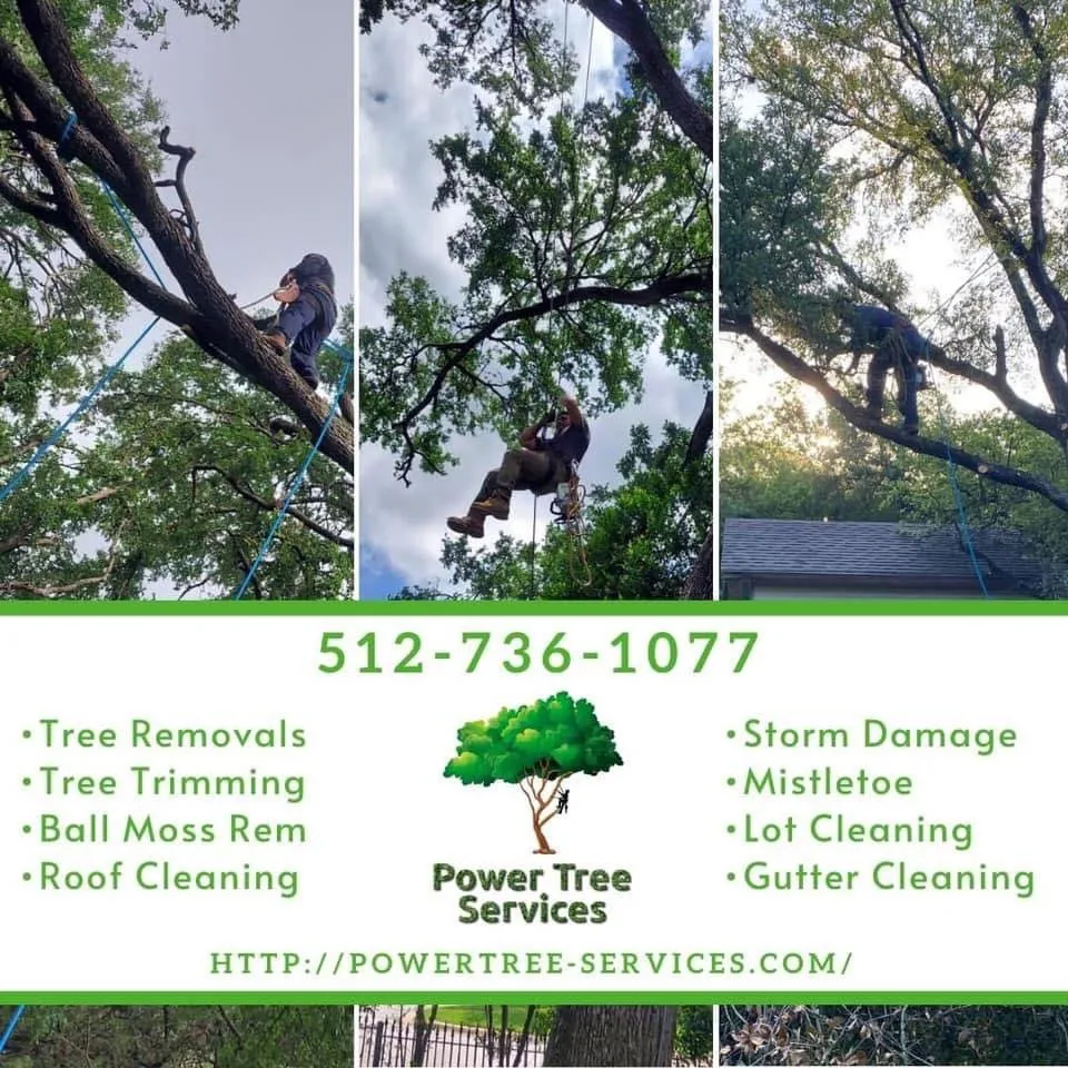Trusted landscape installation in Austin, TX - Power tree services