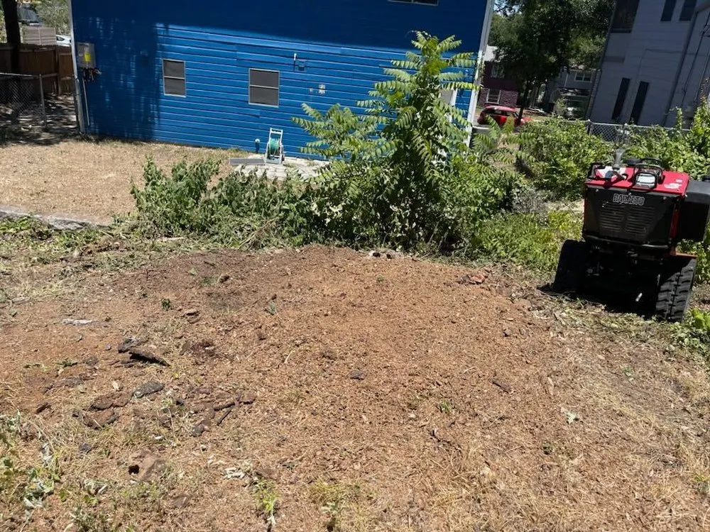 Professional garden landscaping with custom design in Austin, TX by Power tree services