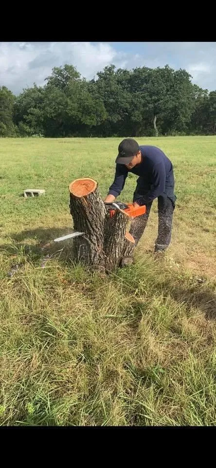 Expert outdoor landscaping in Austin, TX by Power tree services