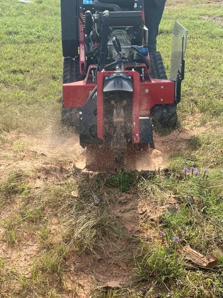 Expert yard maintenance with custom design in Austin, TX by Power tree services