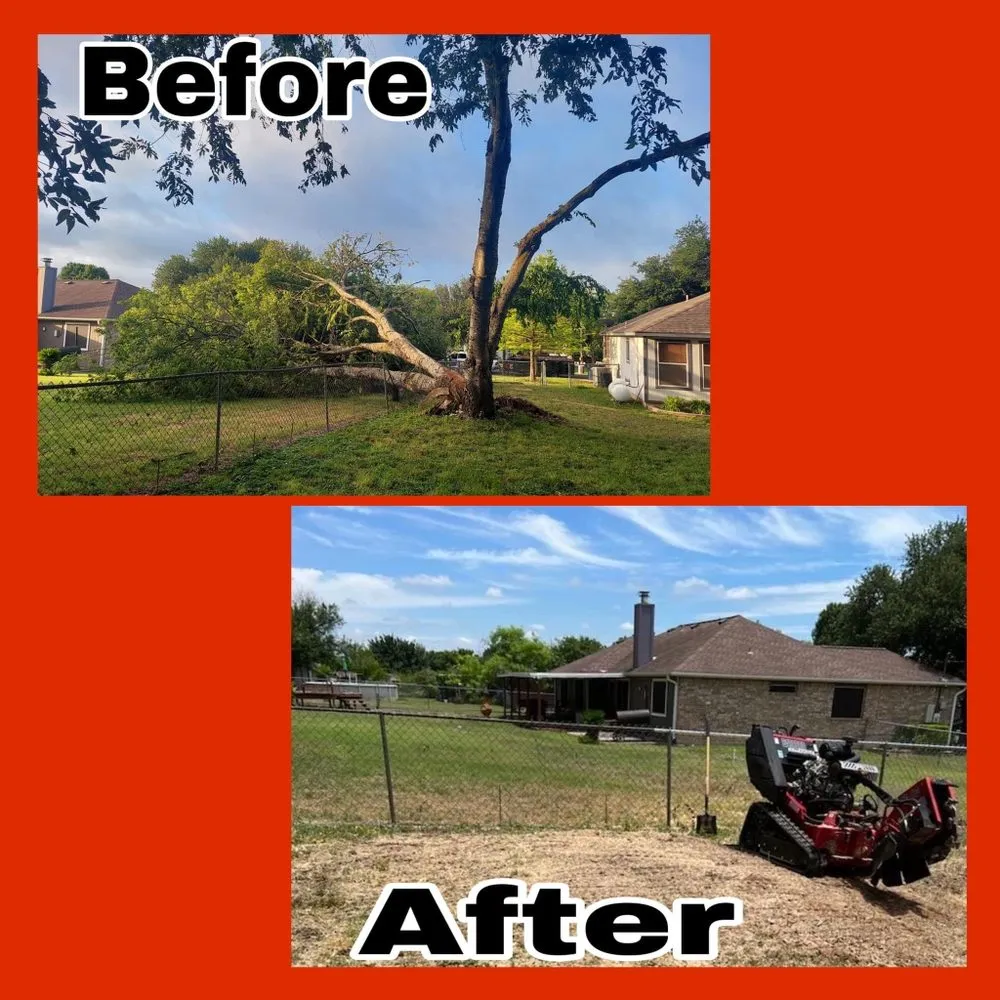 Affordable lawn care service experts serving Austin, TX - Power tree services