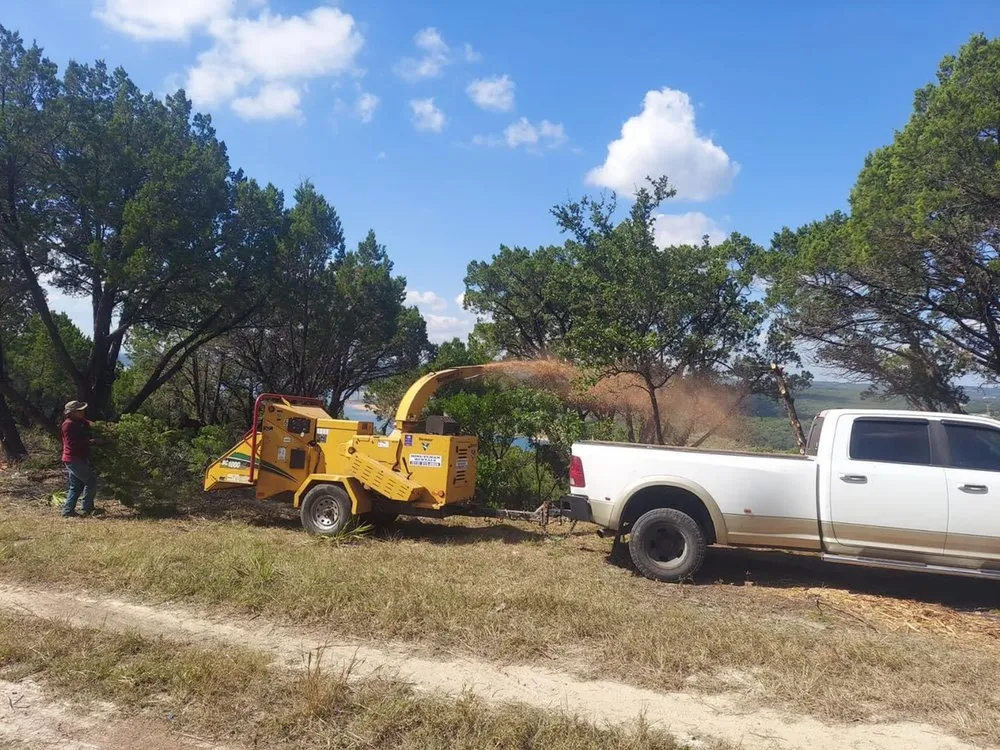Local landscape design in Austin, TX by Power tree services