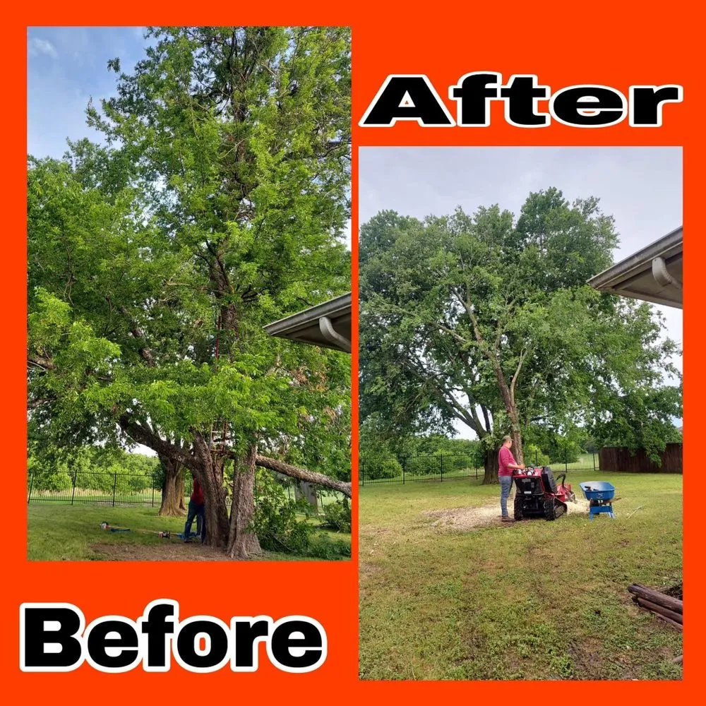 Reliable landscape design in Austin, TX - Power tree services