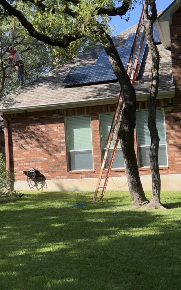 Professional yard maintenance in Austin, TX by Power tree services