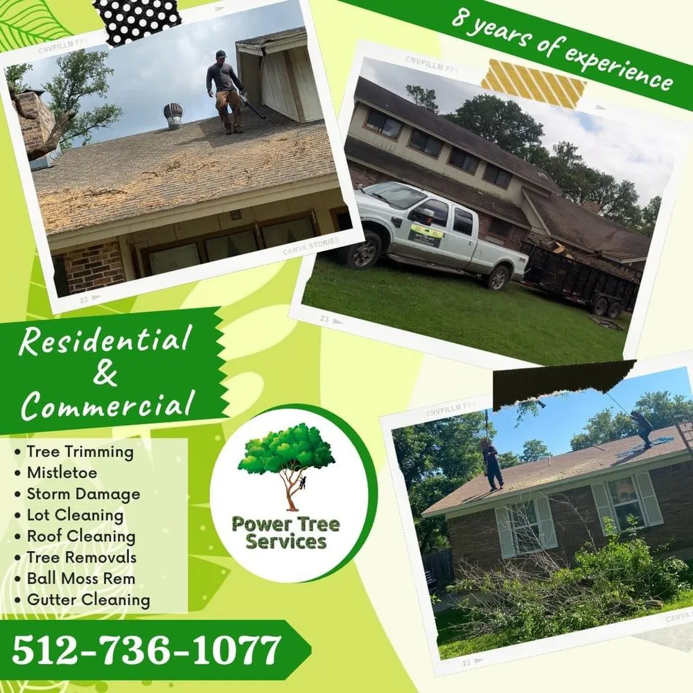 Trusted yard maintenance in Austin, TX - Power tree services
