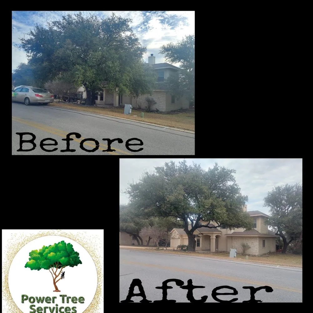 Local landscape design in Austin, TX by Power tree services