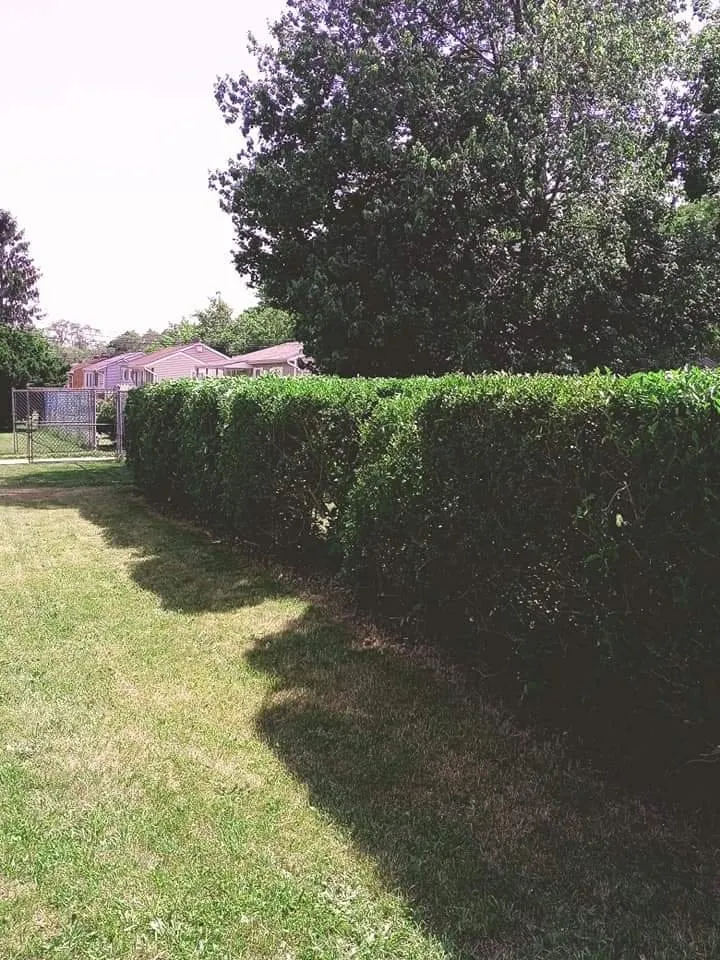 Reliable lawn mowing service near you across Ridge, NY - Powerbar Lawn Services