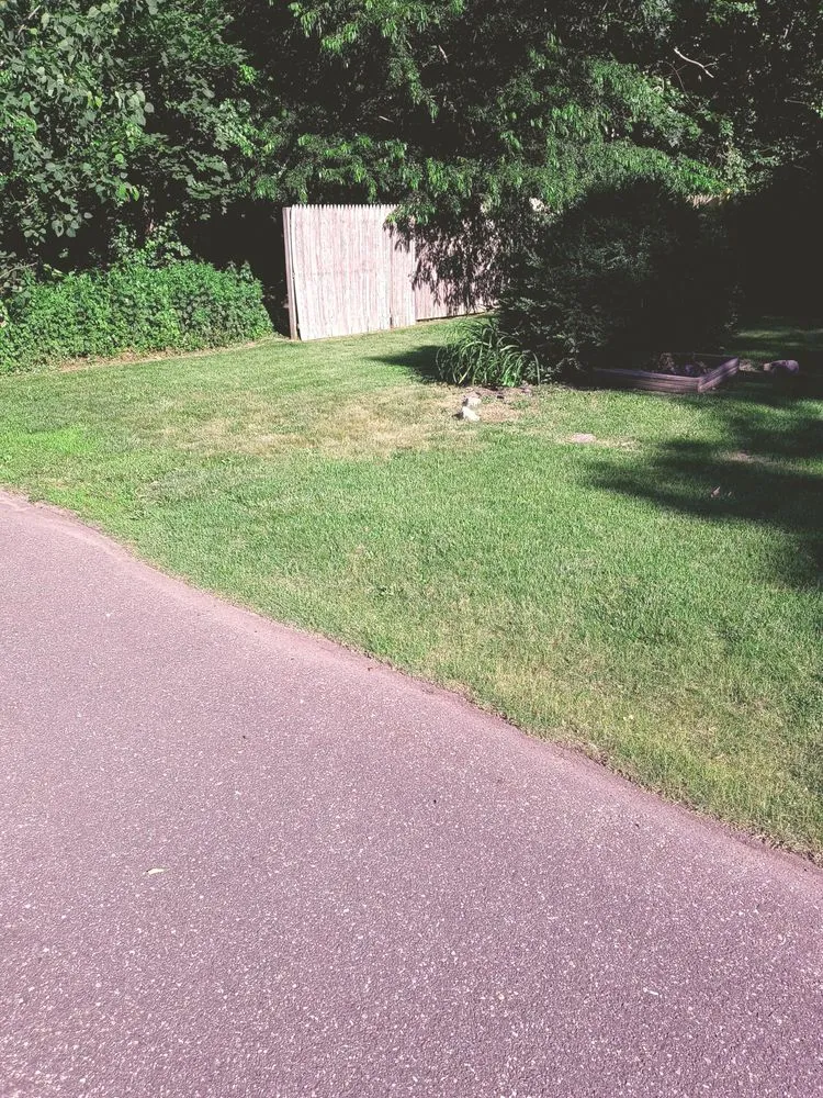 Affordable landscaping services experts serving Ridge, NY - Powerbar Lawn Services