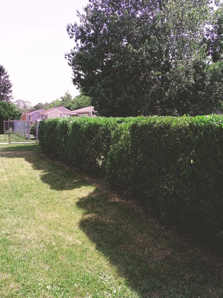 Professional landscape design in Ridge, NY - Powerbar Lawn Services