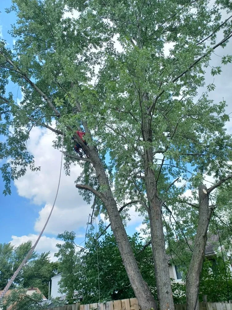 Affordable landscaping services near you across Westmont, IL - Powerful Landscaping & Snow Removal