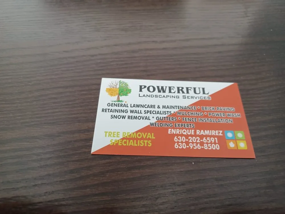 Reliable yard cleanup service for year-round maintenance across Westmont, IL - Powerful Landscaping & Snow Removal