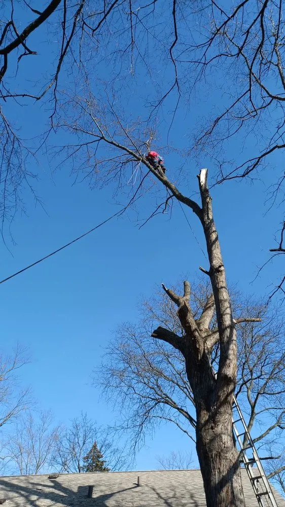 Expert garden landscaping in Westmont, IL - Powerful Landscaping & Snow Removal