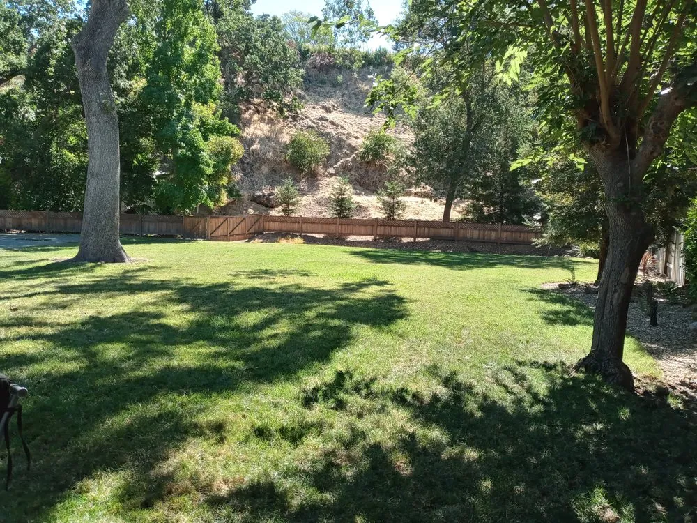 Local yard cleanup service in Antioch, CA by PowerGreen Lawns
